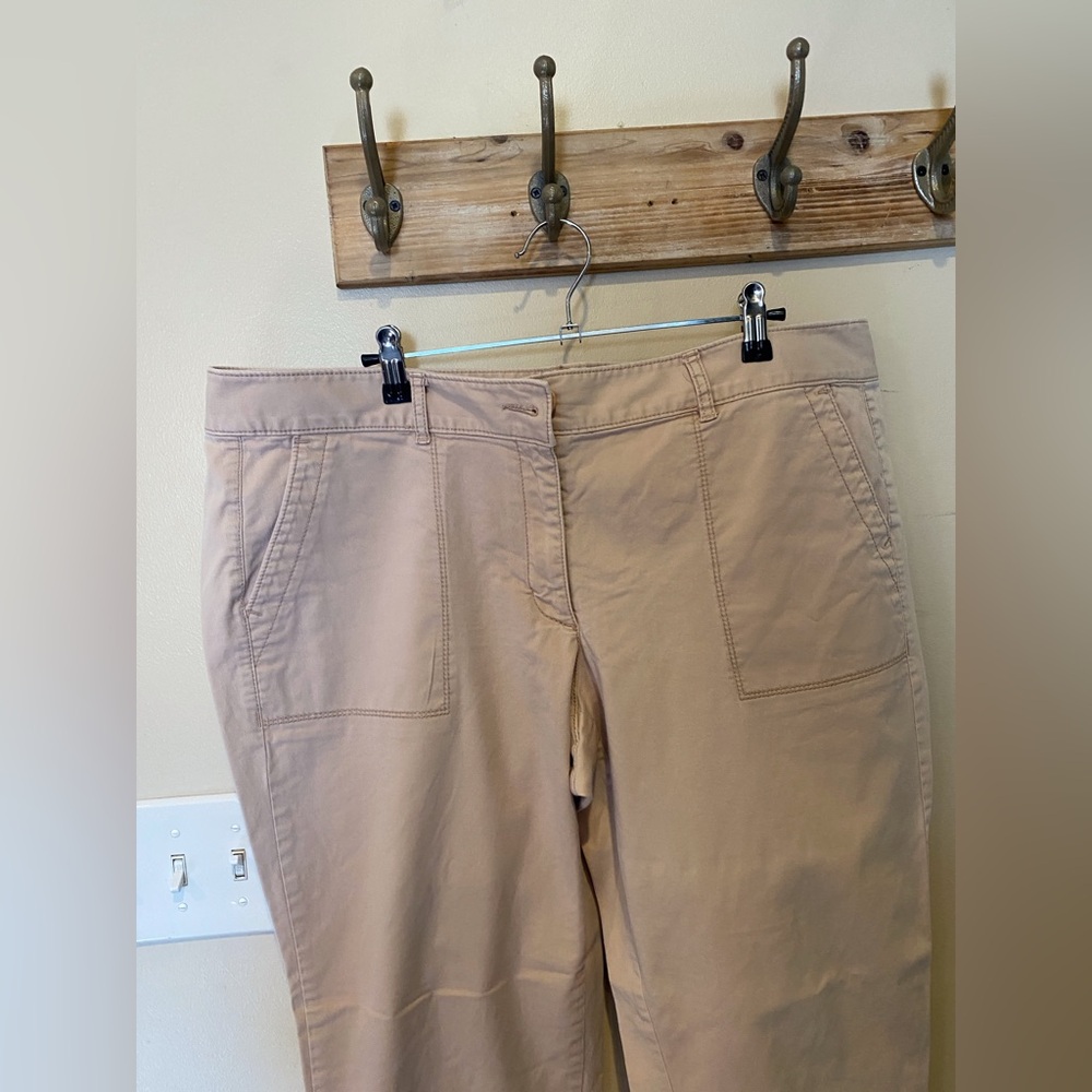 LOFT Tan Women's Pants